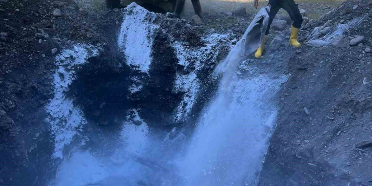 Kazada Telef Olan Hayvanlar Gömüldü