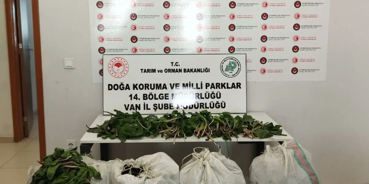 İran Uyruklu 1 Kişiye Biyoçeşitliliği Tahripten Toplam 387 Bin 141 Lira Ceza Verildi