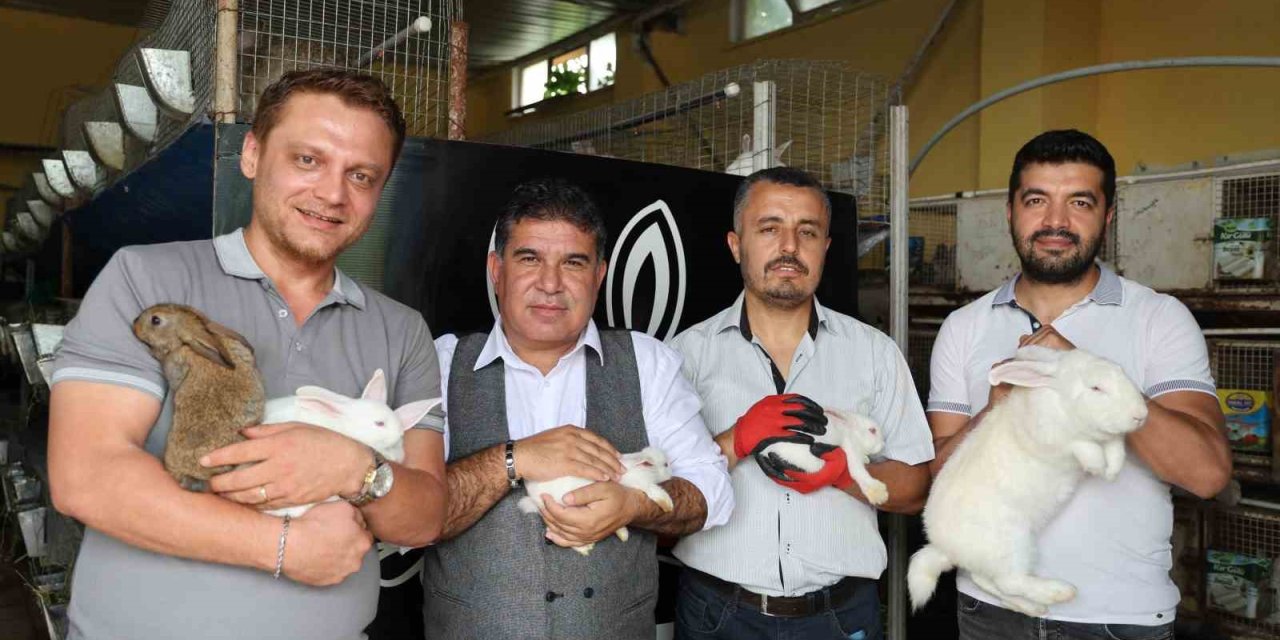 Devlet Desteğiyle 10 Tavşan Aldı, 78 Ayrı Tavşan Üretim Merkezi Açılmasına Sağladı