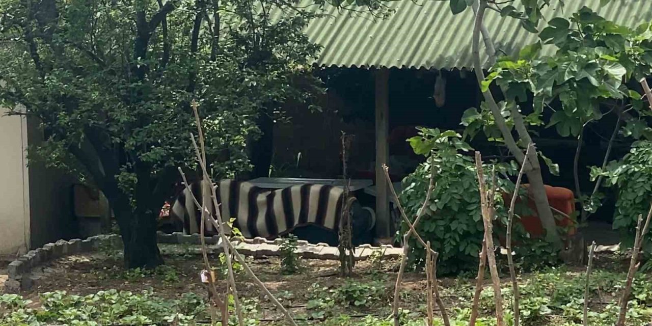 Tokat’ta Patlamada Yaralananların Hayati Tehlikeleri Bulunmuyor