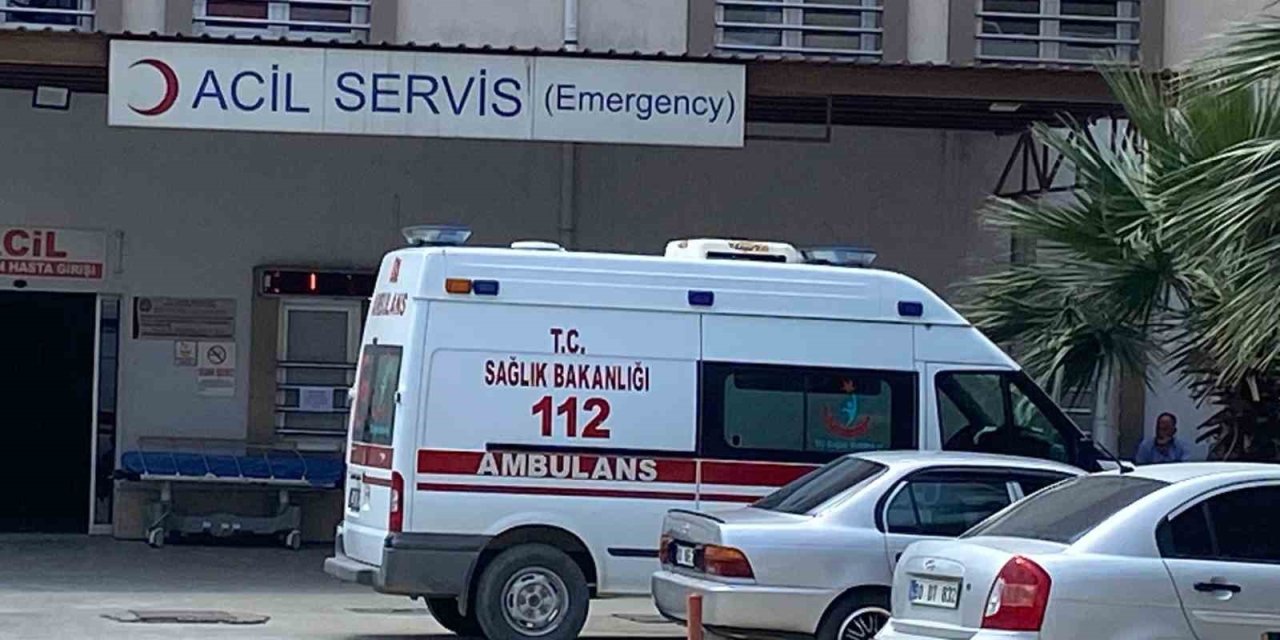 Tarlasında Ot Temizlerken Yılan Soktu