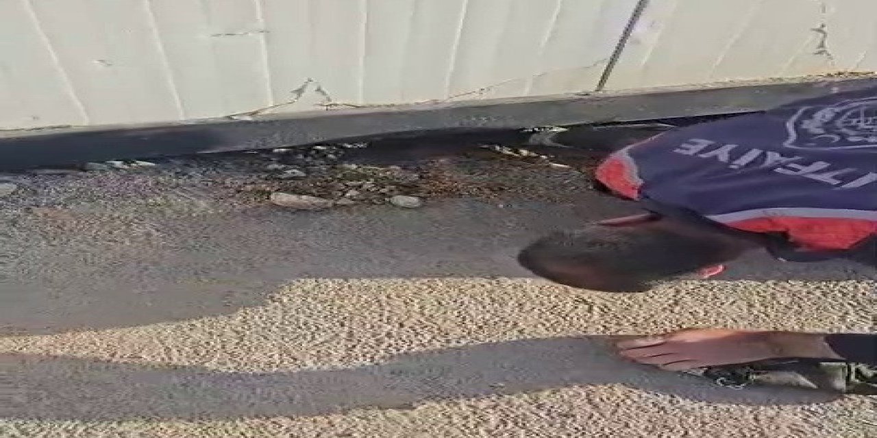 Konteyner Altında Kalan Yavru Köpek İtfaiye Tarafından Kurtarıldı