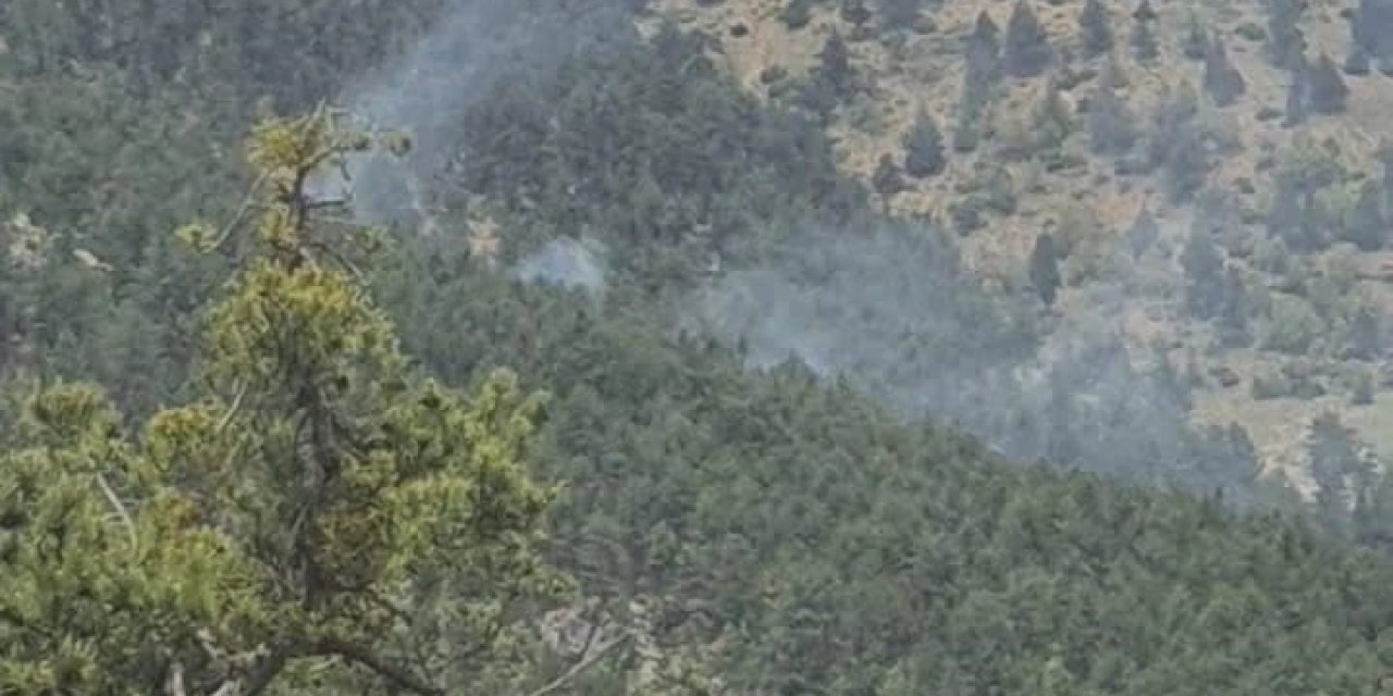 Saimbeyli’de Çıkan Orman Yangını Kontrol Altına Alındı