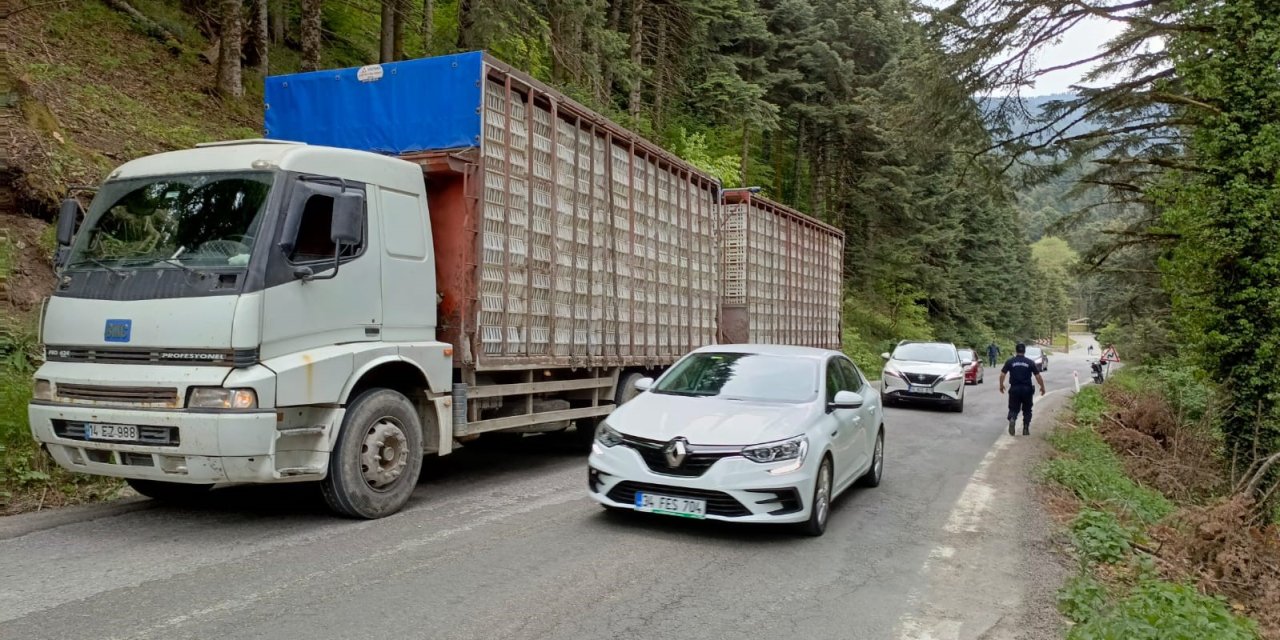 Kontrolden Çıkan Otomobil Uçuruma Yuvarlandı: 2 Yaralı