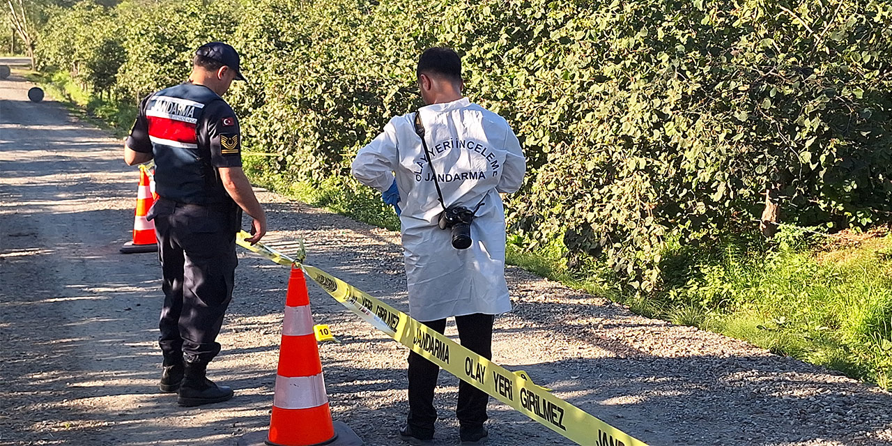 Samsun’da fındık tarlasında çıkan silahlı kavgada 5 kişi yaralandı