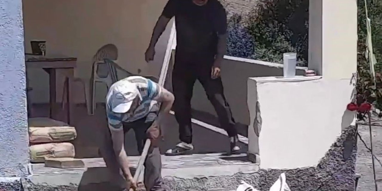 Havalar Isındı, Yılanlar Evlere Girmeye Başladı