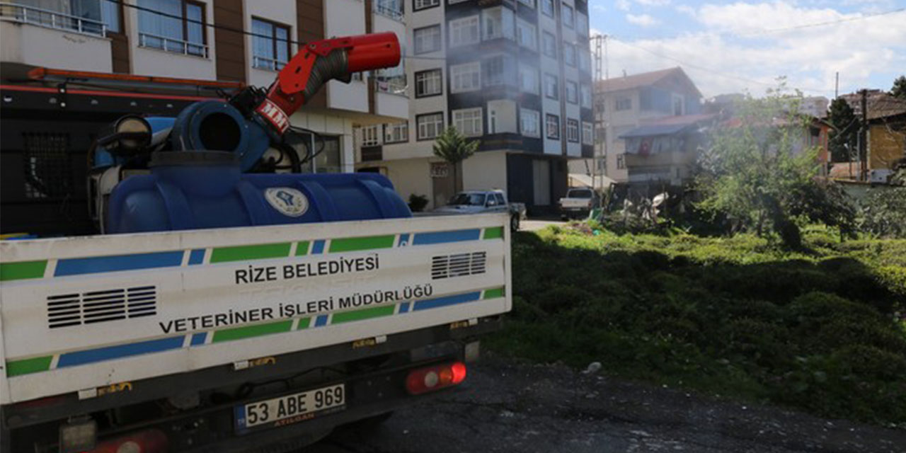 Rize’de Günün Sivrisinek Mücadelesi Yapılacak Mahalleleri