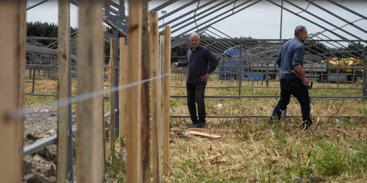 İstanbul’da Kurban Bayramı Hazırlığı Başladı