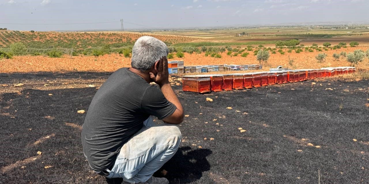 Yangında Arıları Telef Olan Arıcı Çaresizce Yanan Kovanlarını İzledi