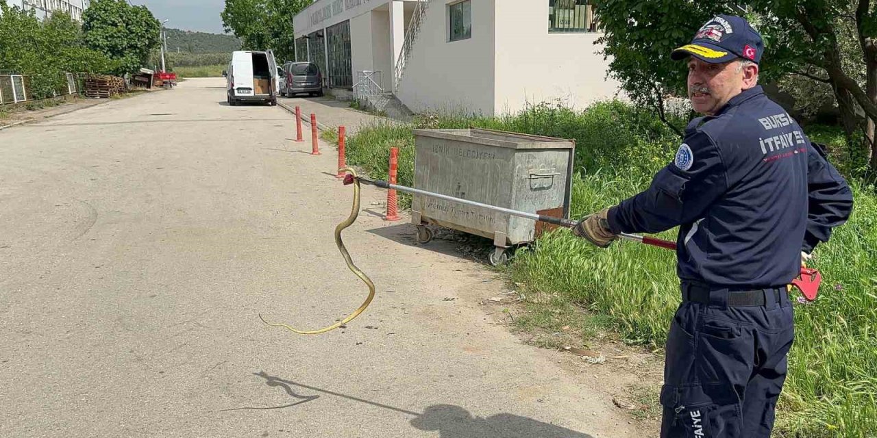 Polis Arabasına Giren Yılanı İtfaiye Ekibi Çıkardı