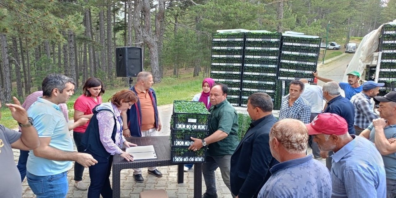 Kuyucak’ta 200 Bin Geçci Domates Fidesi Dağıltı
