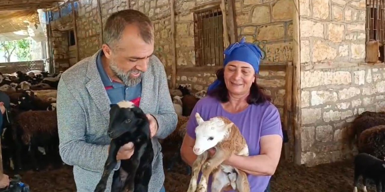 10 Koyunla Başladı, Şimdi Kendi İşinin Patronu Oldu