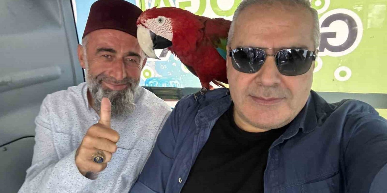 Metrobüse Papağanıyla Bindi, Vatandaşlar Şaşkına Döndü