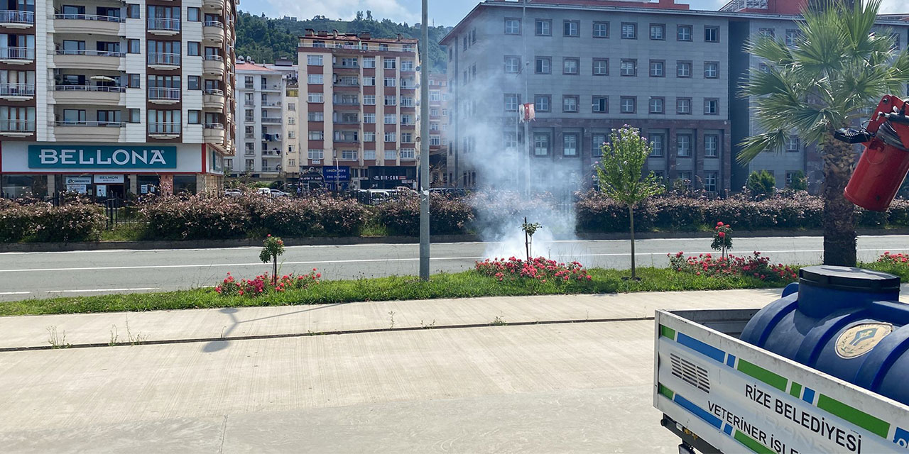 Rize’de Bu Akşam İlaçlama Yapılacak Mahalleler