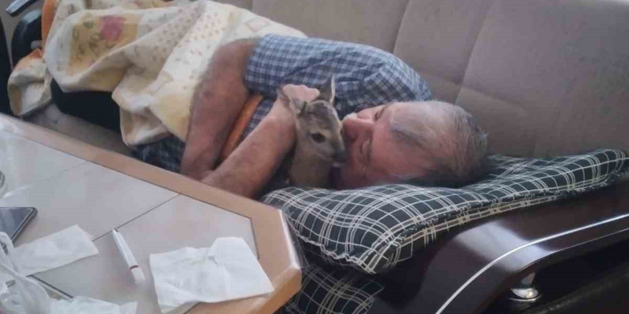 Öldü Sandı, Can Suyuyla Hayata Bağladı