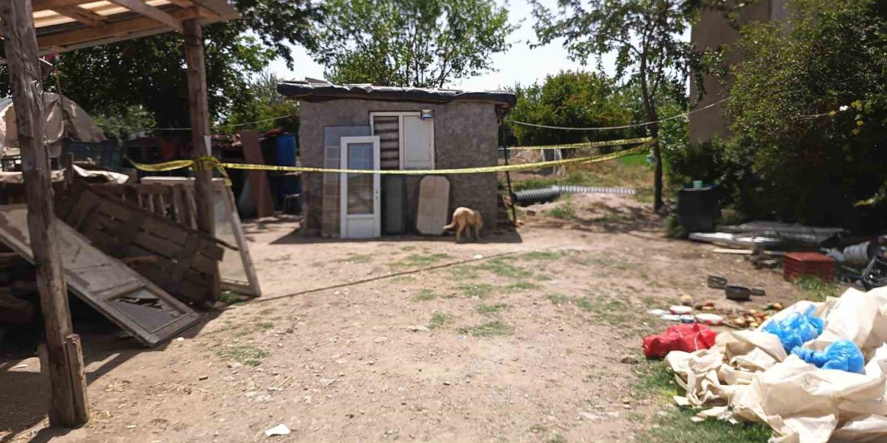 Koyun Sayasında Öldürüldü