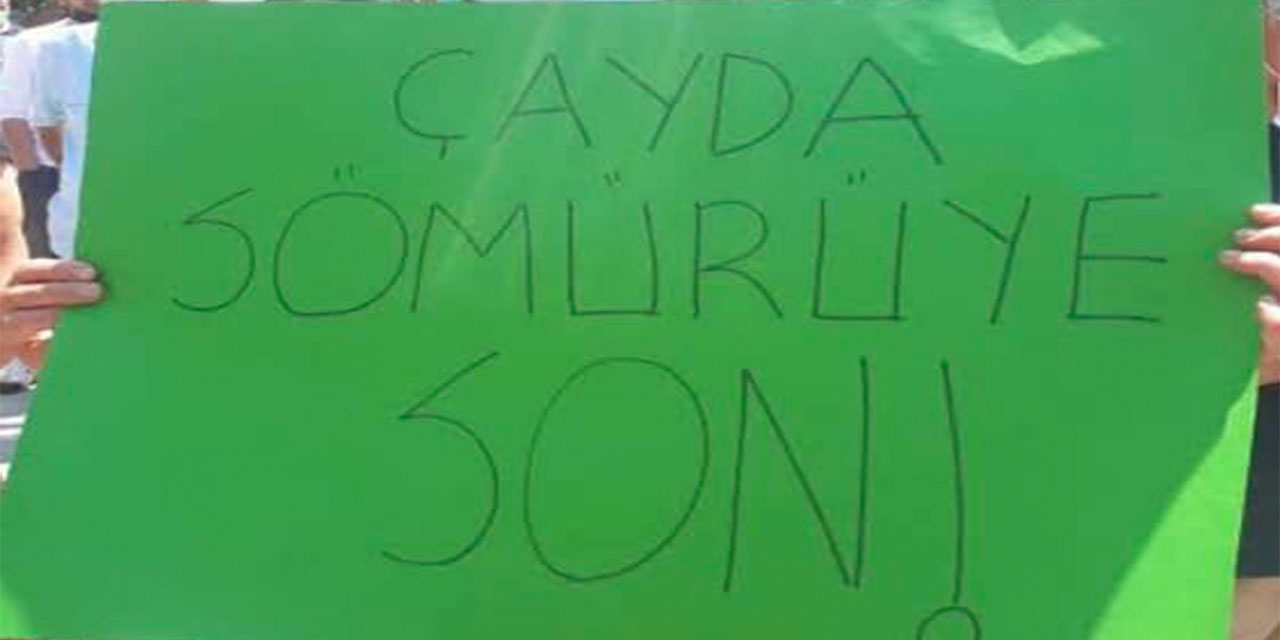 Rize'de Yaş Çay Fiyatına Tepki Amaçlı Miting Düzenlenecek