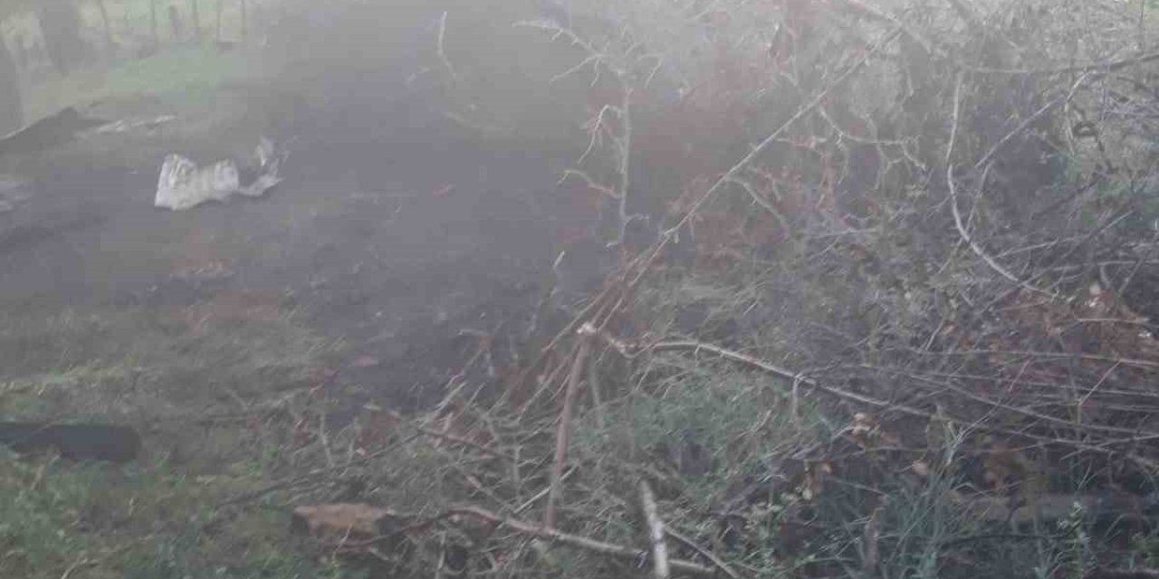 Yıldırım Düşmesi Sonucu Baraka Yandı, 3 Koyun Telef Oldu