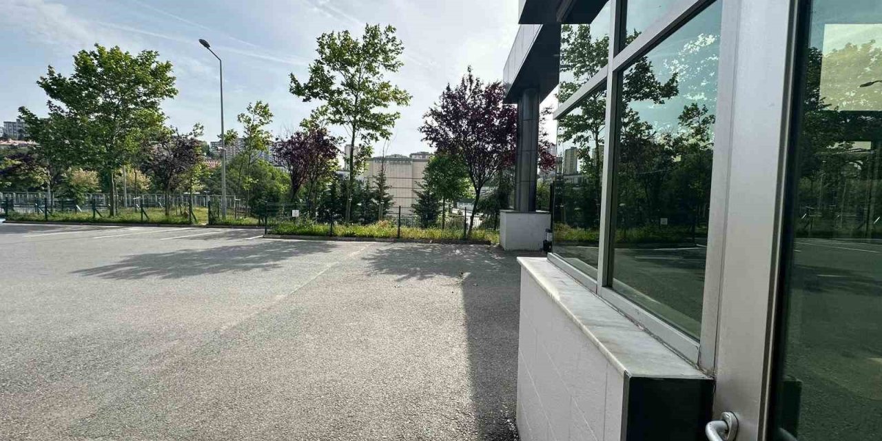 Başakşehir’de İlkokul Bahçesinde Beslenen Köpekler 11 Yaşındaki Öğrenciye Saldırdı