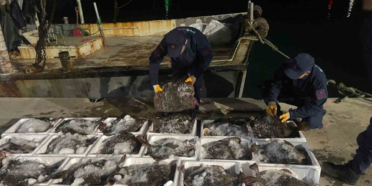 Sinop’ta 2 Milyon Lira Değerinde Kaçak Kalkan Balığı Ele Geçirildi