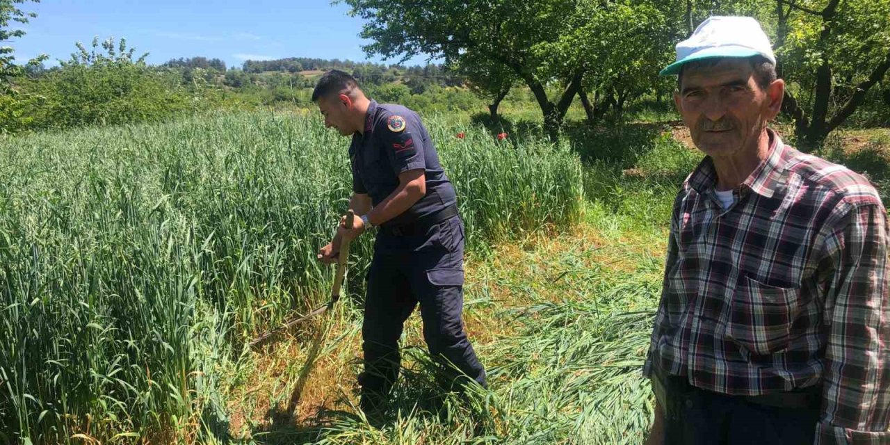 Tarlasında Çalışmaktan Yorgun Düşen Çiftçiye Jandarma Yardım Etti