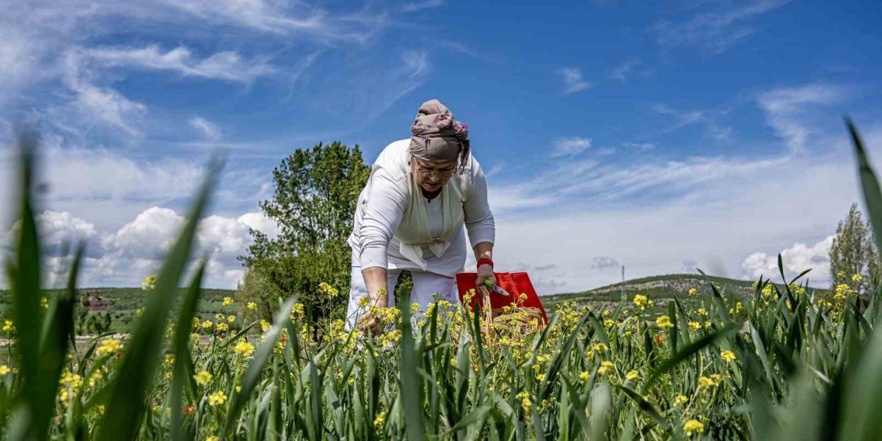 Oğlunun Ölümüyle Kendini Doğaya Verdi: 41 Çiçekten Organik Reçel Elde Ediyor