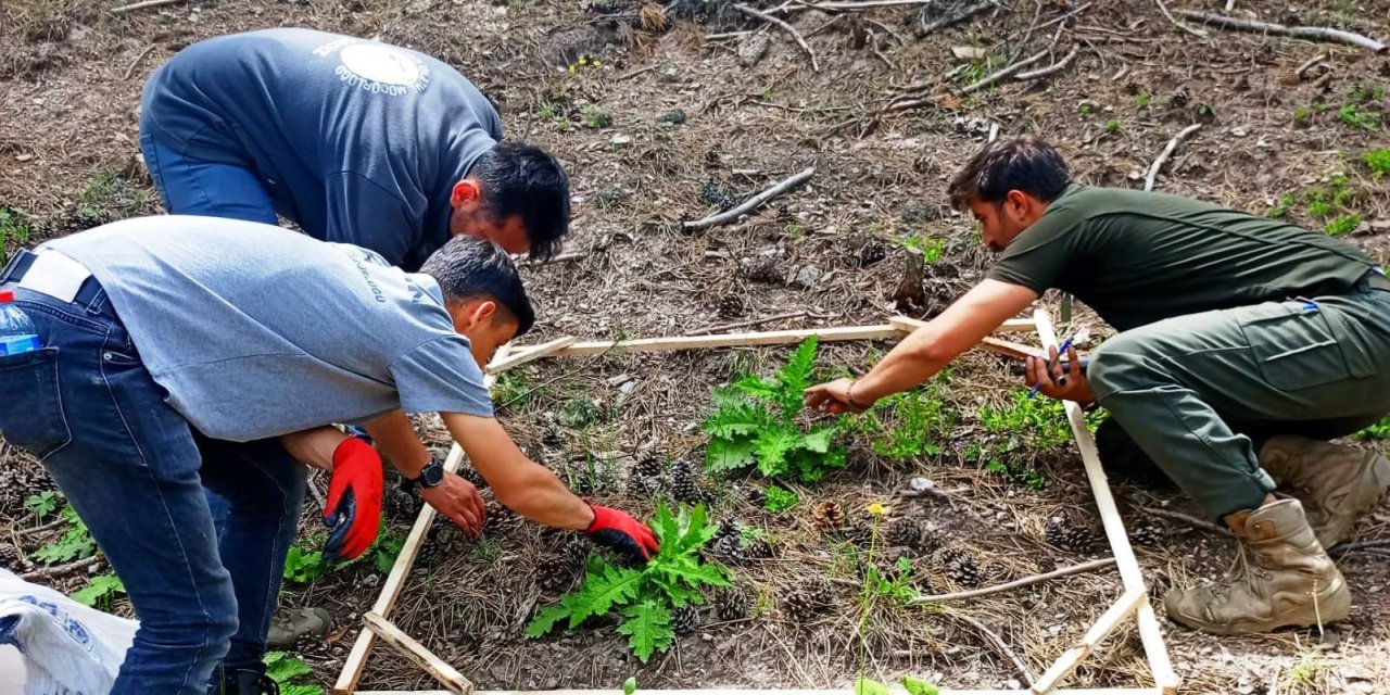 Gediz’de 2023 Tohumları Fidan Oldu