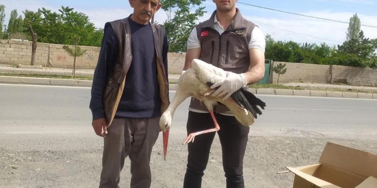 Iğdır’da Yorgun Düşen Leylek Bakıma Alındı