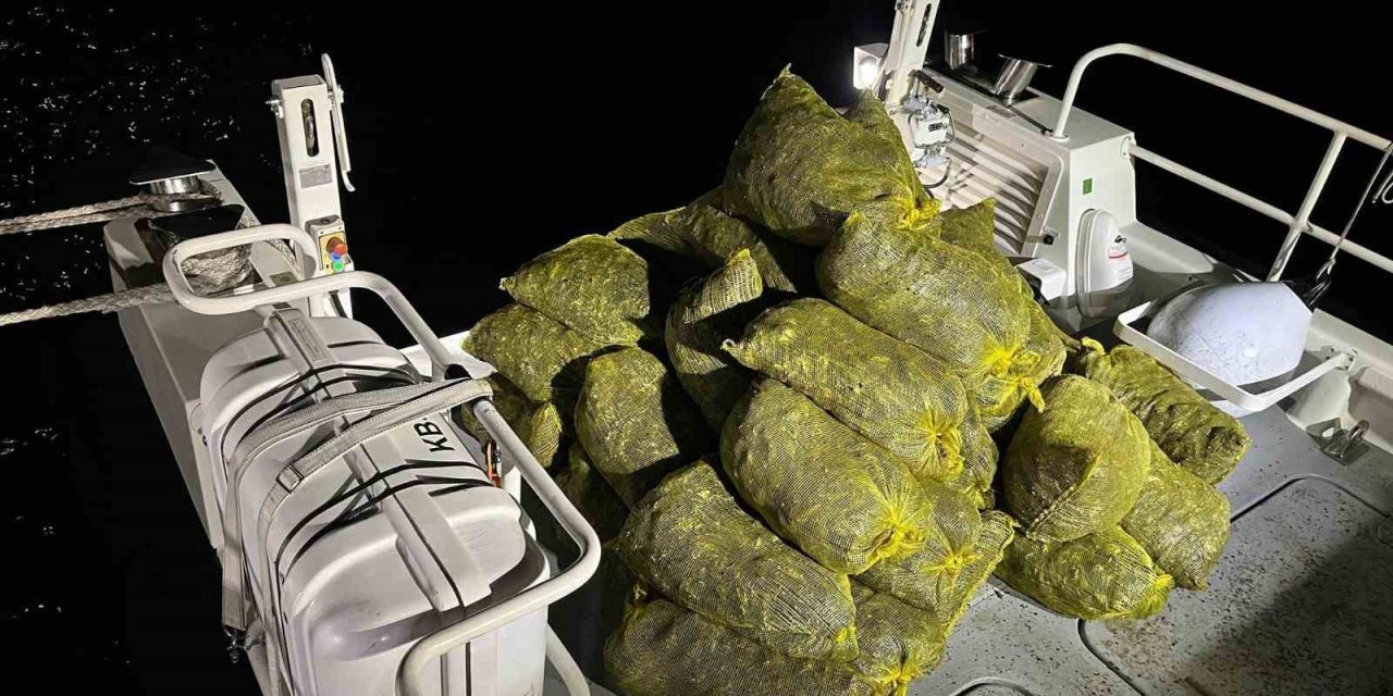 Çanakkale’de Bin 300 Kilogram Midye Ele Geçirildi