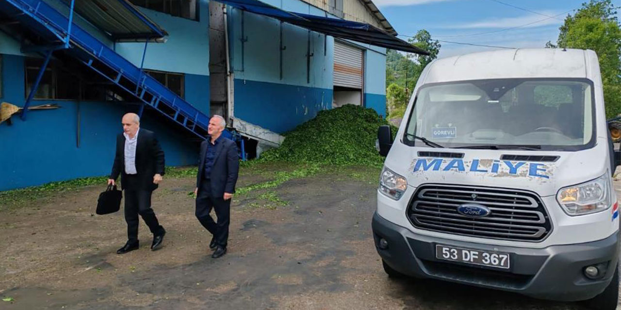 Rize'de Çay Sektörü Mercek Altında