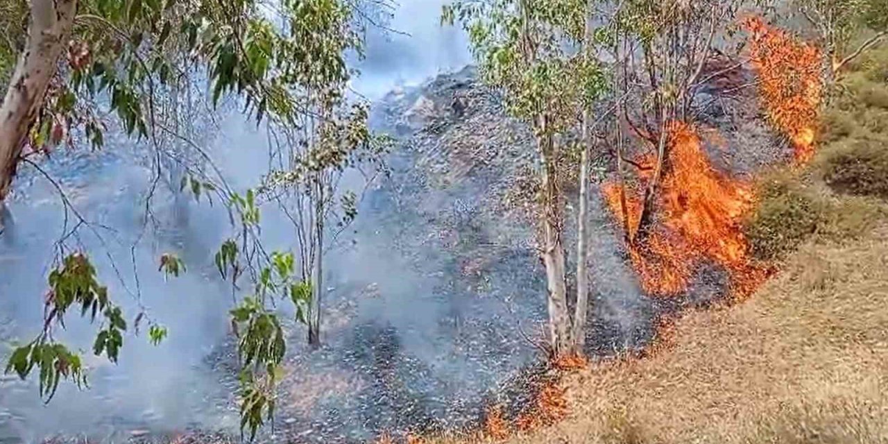 İzmir’de Ormanlık Alandaki Yangın Kontrol Altında