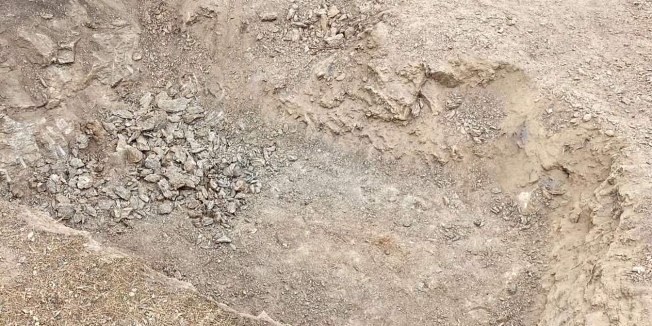 Ormanda Kaçak Kazıya Suçüstü