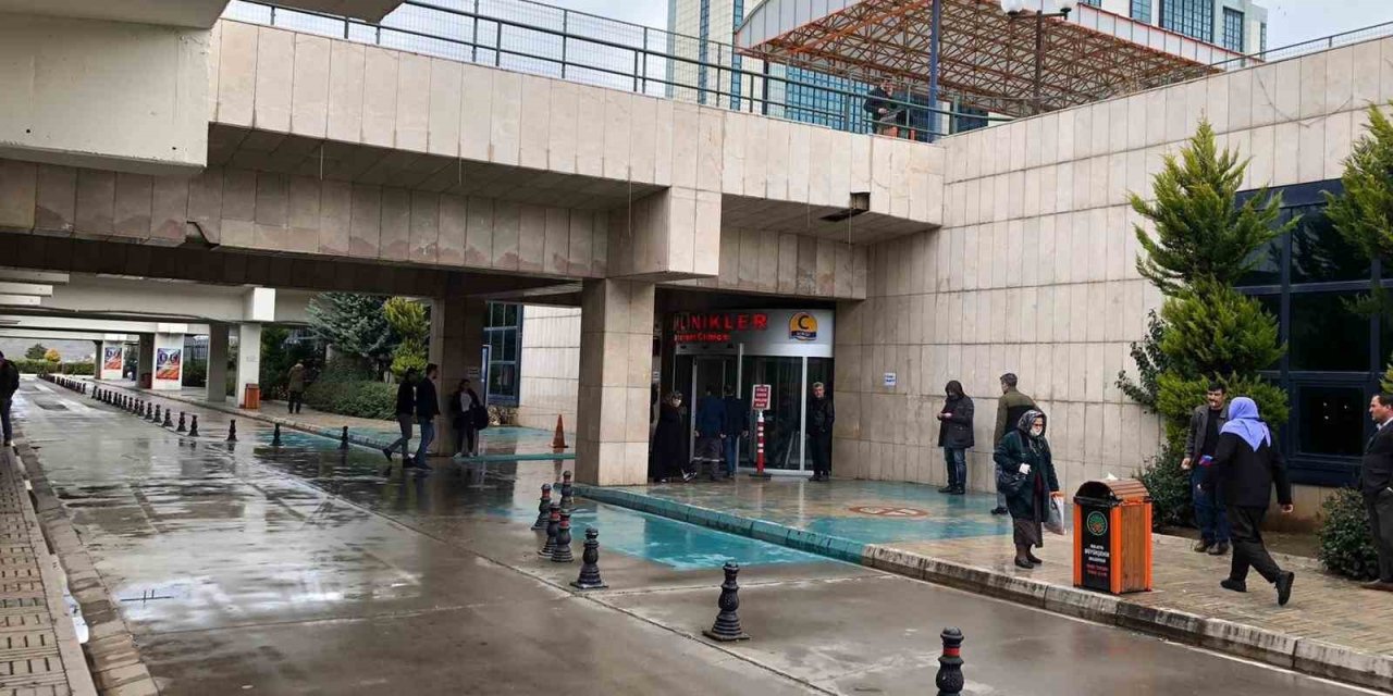 Bal Arısının Soktuğu Adam Komaya Girdi