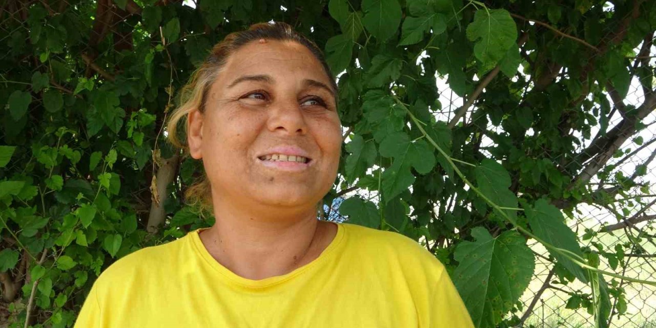 Her Yerde Aranırken, Tarlada Uyurken Bulundu