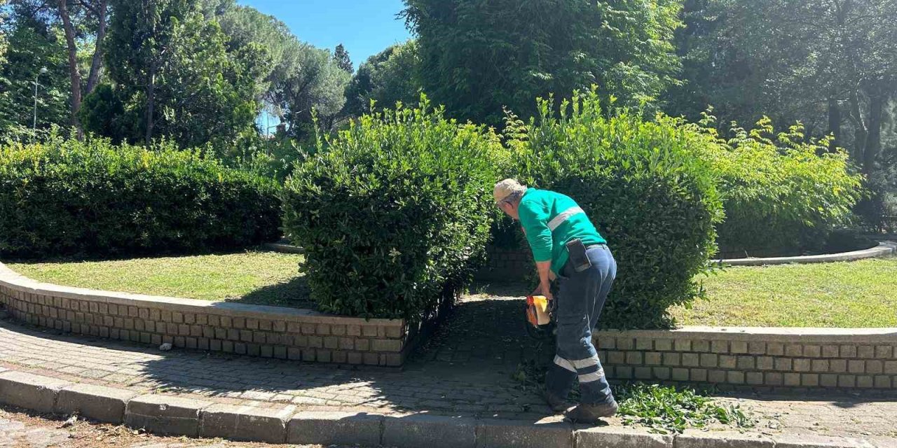 Efeler’in Yeşil Ekipleri Kenti Güzelleştiriyor