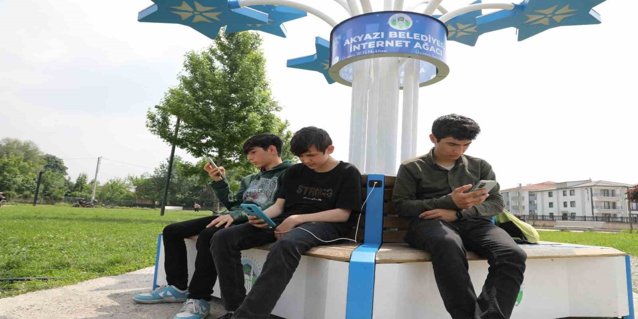 ‘İnternet Ağacı’ Akyazılıların beğenisini kazandı