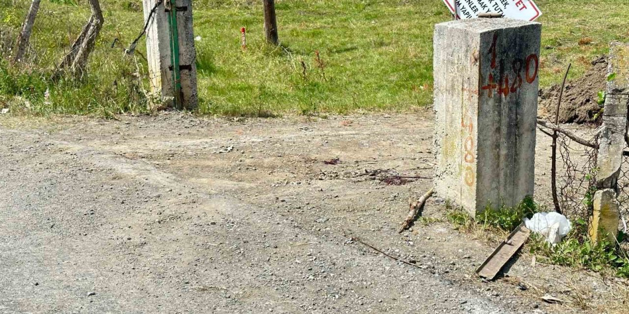 Husumetlisini Öldürdü