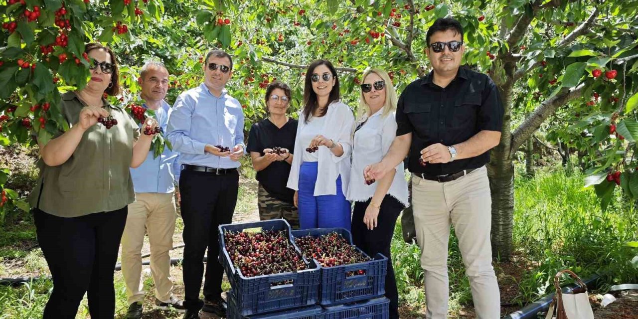 Kaymakam Altun, Kırsaldaki Çalışmaları İnceledi