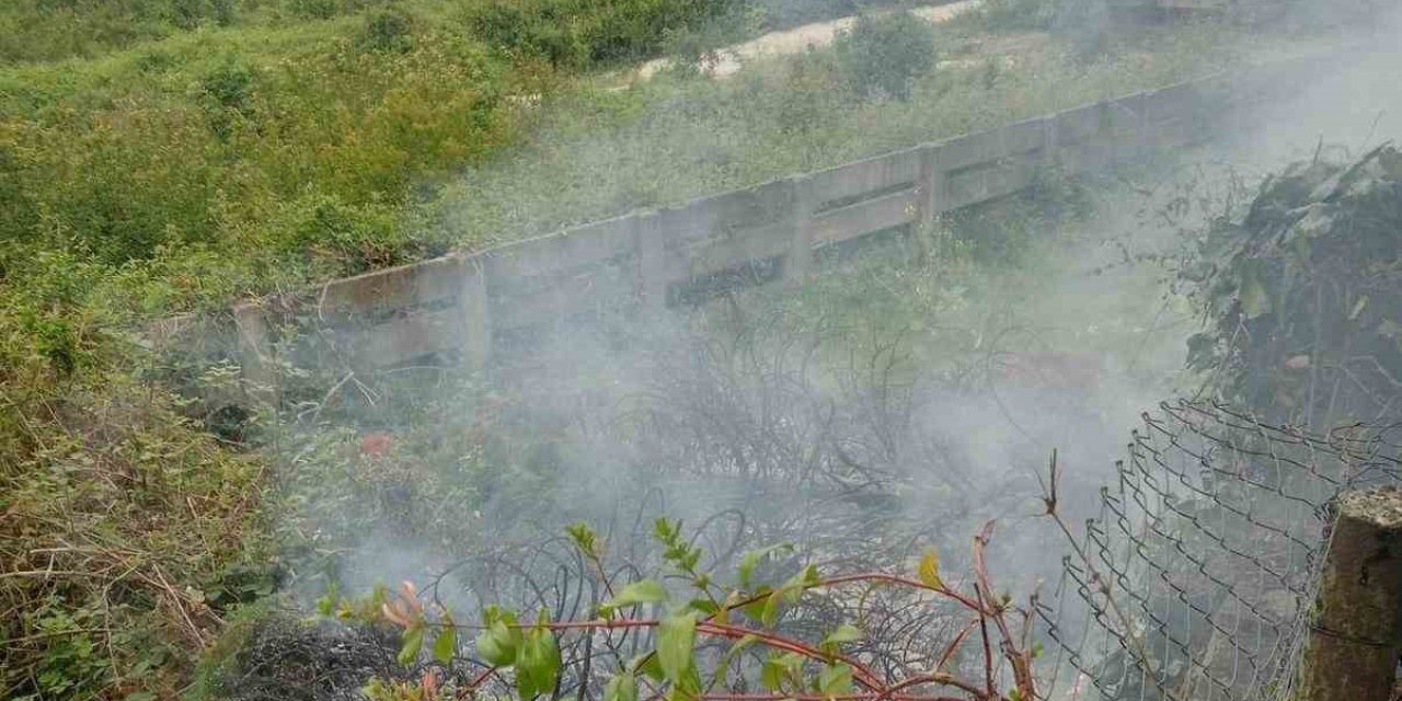 Anız Yangını Korkuttu