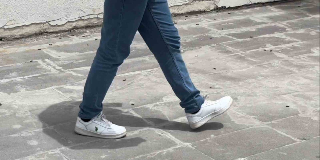 Tatvan’da Çekirgeler Şehir Merkezini İstila Etti