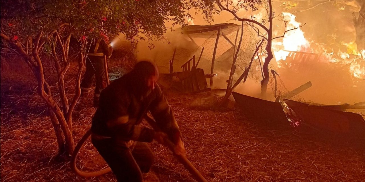 Aydın’da Alevler Geceyi Aydınlattı