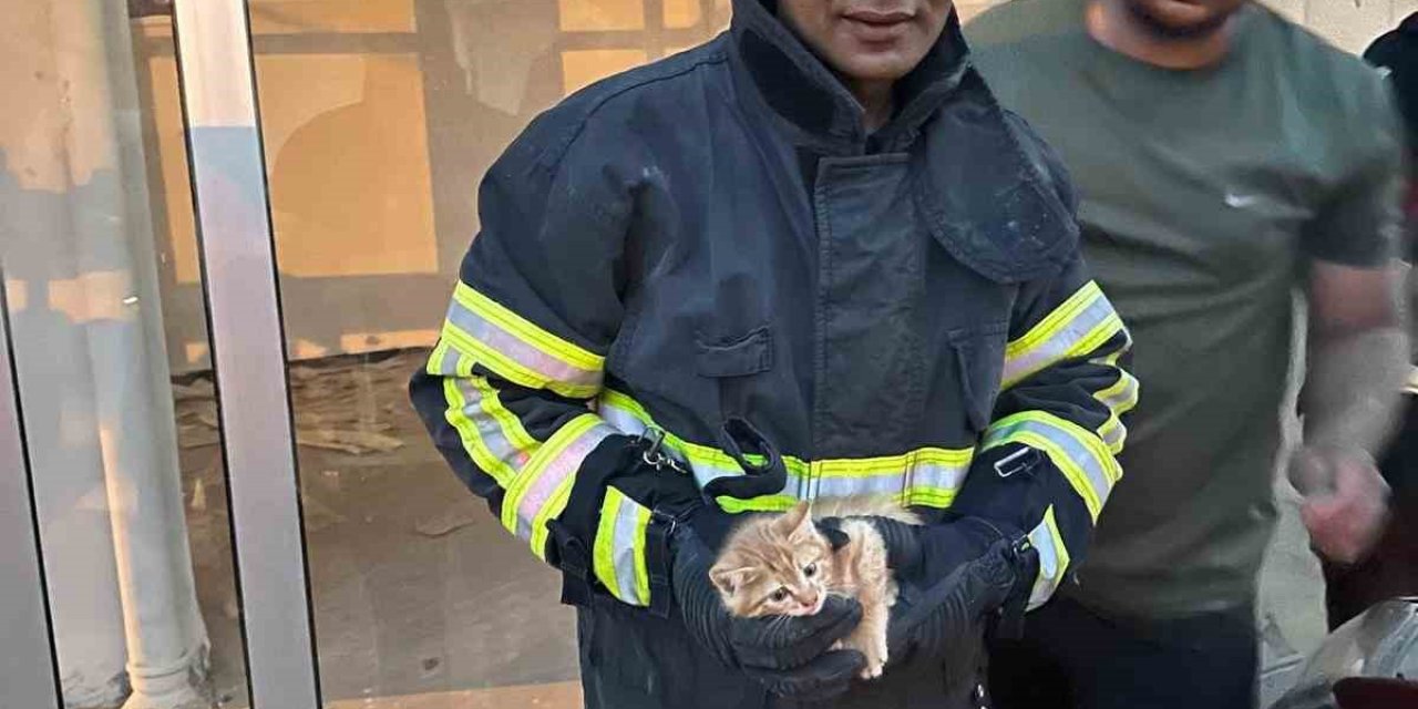 Aracın Motor Kısmına Sıkışan Kedi Kurtarıldı