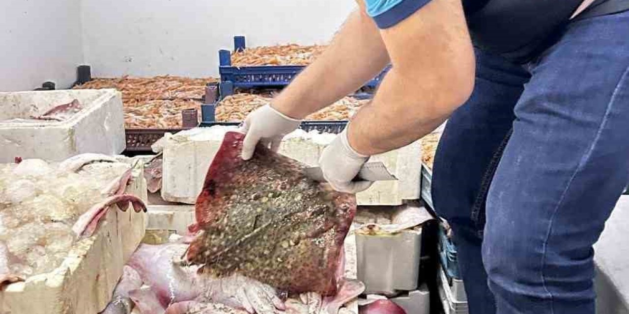 Bursa’da Kaçak Avcılara Geçit Yok