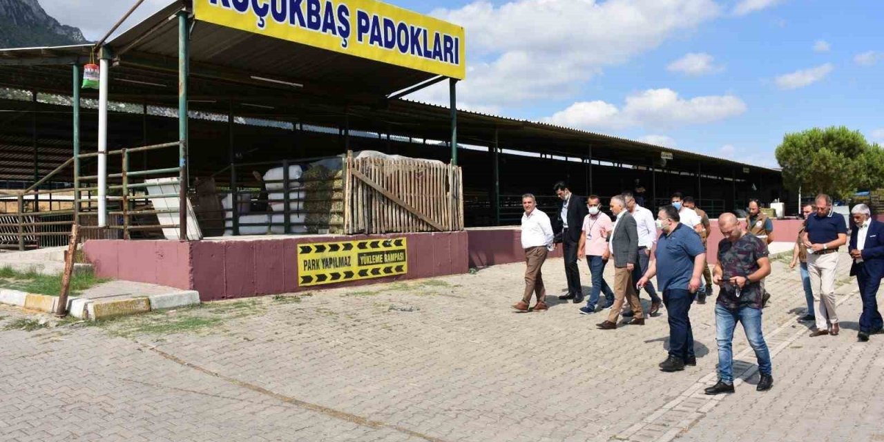 Manisa’nın En Büyük İlçesinde Kurban Pazarı Olmayacak