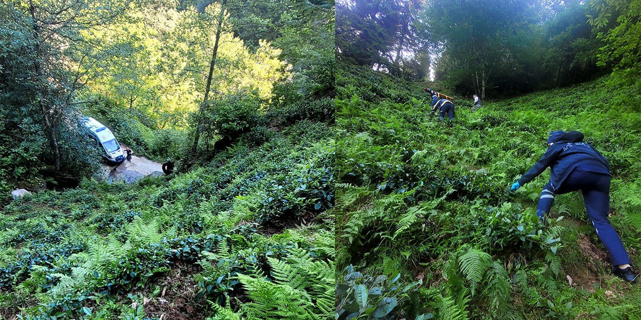 Rize'de Çay Bahçesinde Kaza: 48 Yaşındaki Adam Dengesini Kaybederek Yuvarlandı