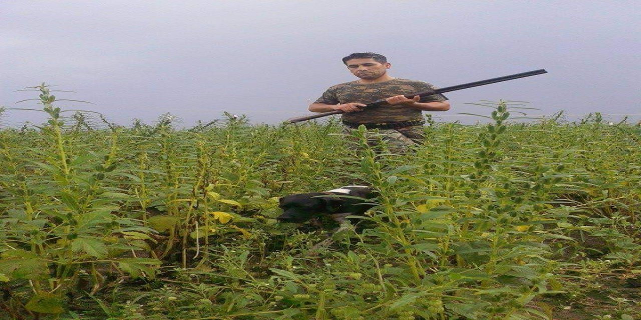 Ecza Teknisyeni Ormanlık Alanda Öldürülmüş Halde Bulundu