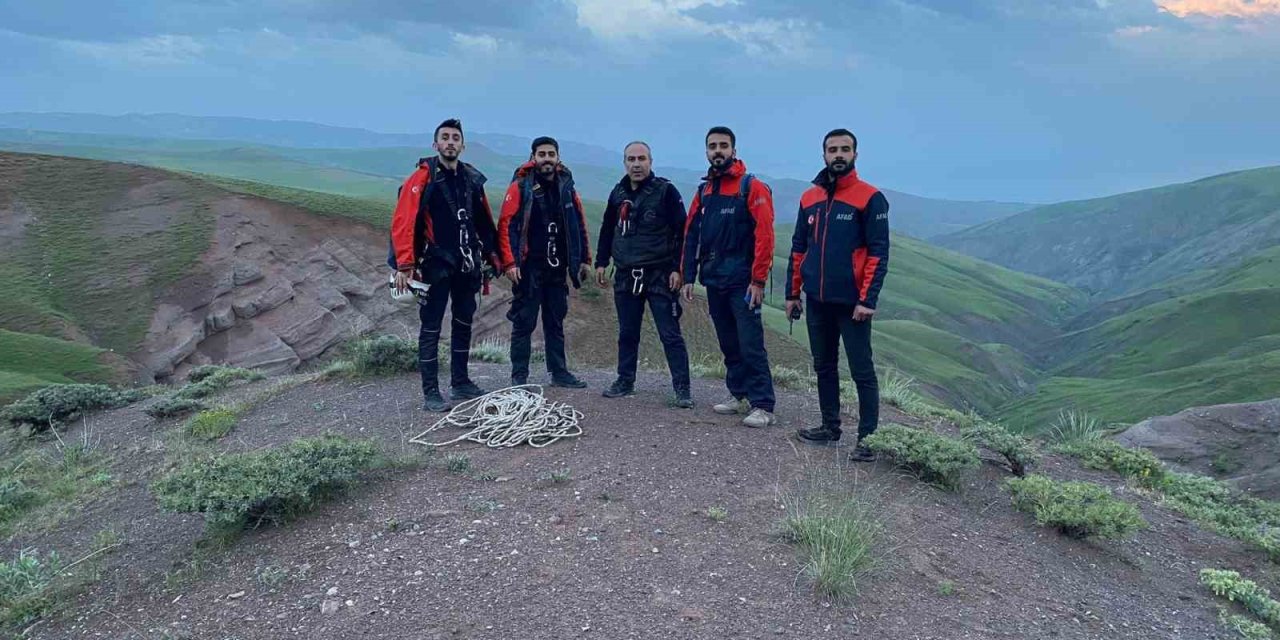 Kayalıkta Mahsur Kalan Yavru Oğlaklar Afad Tarafından Kurtarıldı