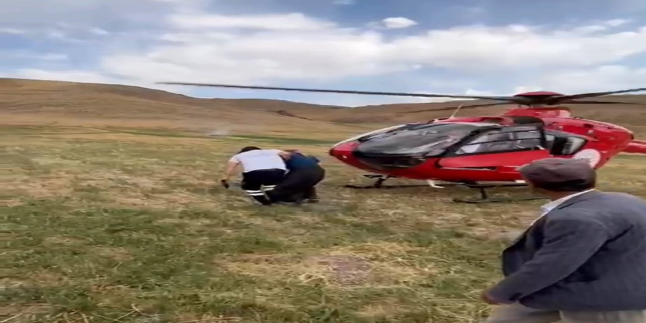 Van’da arı sokmasıyla rahatsızlanan kadın ambulans helikopterle hastaneye kaldırıldı