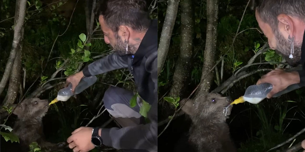 Rize'de yolda gördüğü yavru ayıyı biberonla besledi