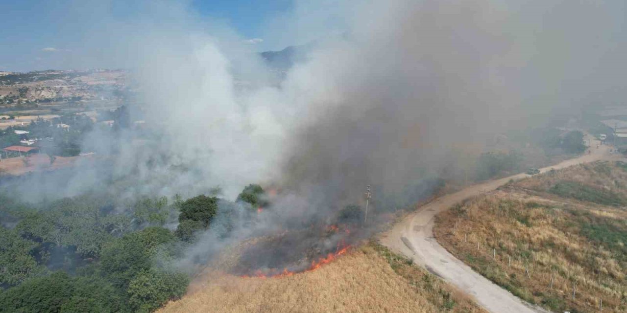 İncir Bahçesindeki Yangın Korkuya Neden Oldu